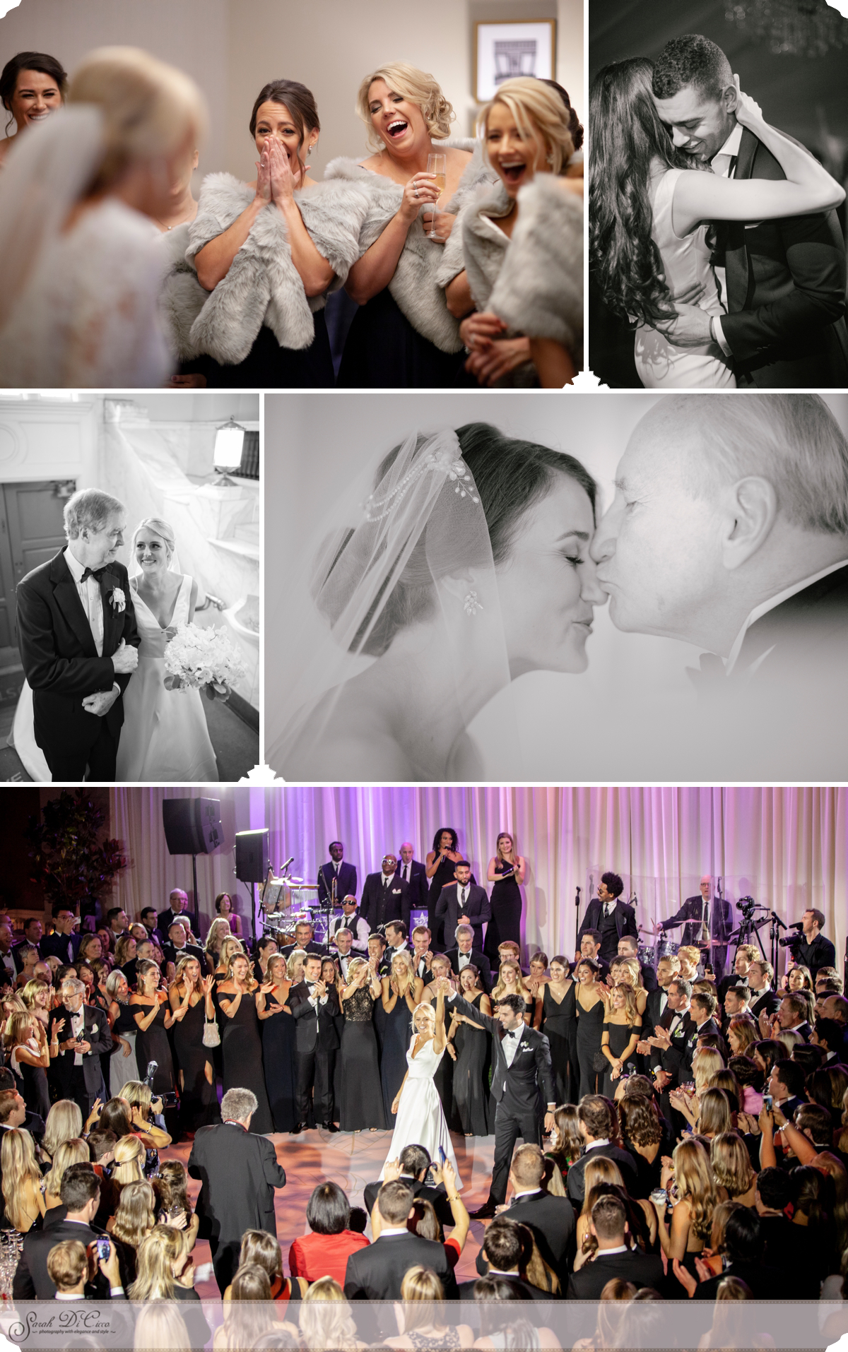 Wonderful Moments Sarah DiCicco Photography - Year in Review 2018